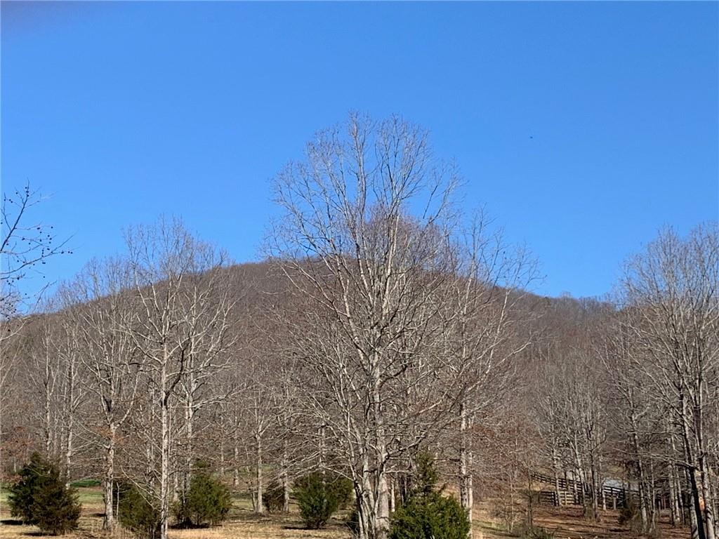 Lot 21 Long Mountain Trail