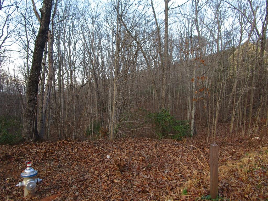 Lot 21 Long Mountain Trail