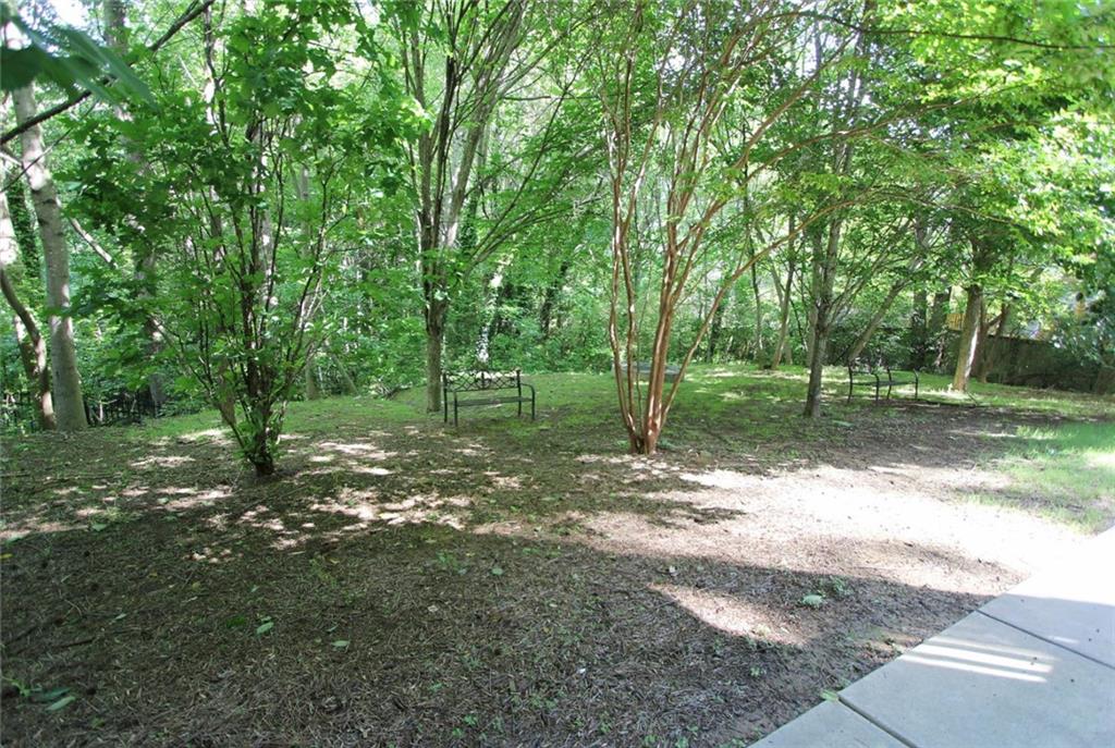 116 Festoon Court, Smyrna, Georgia image 40