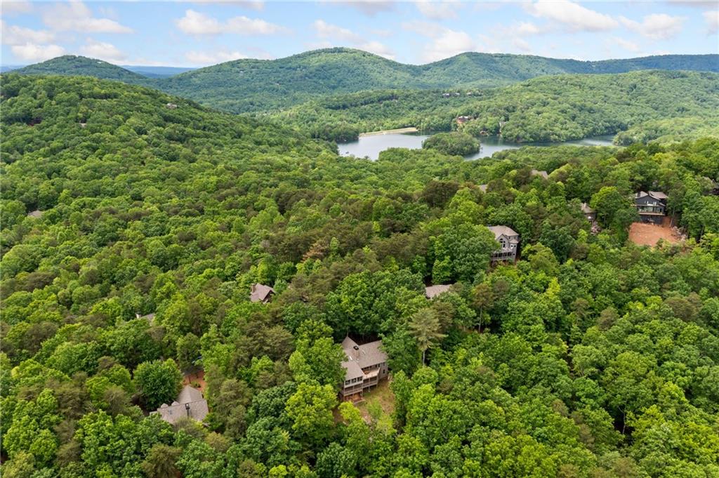 196 Mcelroy Mountain Drive, Jasper, Georgia image 3