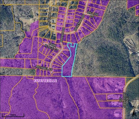 Vacant Land For Sale - East Of Burch Road<br/> Fayetteville, GA 30215