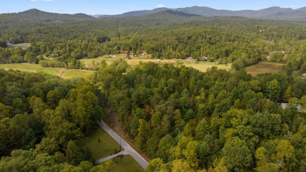 Laurel Springs Road, Mineral Bluff, Georgia image 3