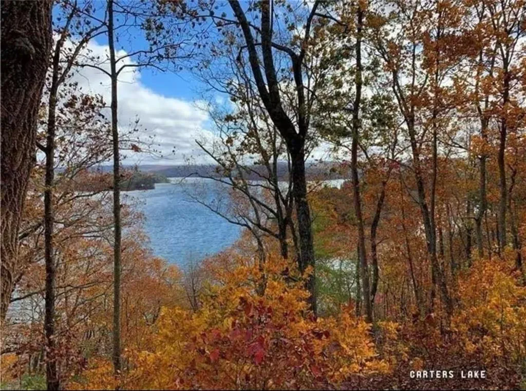 Ranger, Georgia 30734, United States, 2 Bedrooms Bedrooms, ,2 BathroomsBathrooms,Residential,Active,219263