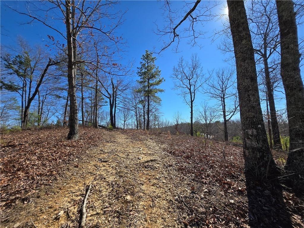 00 Brushy Mountain Road