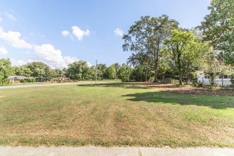 Vacant Land For Sale - Progress Avenue<br/> Hawkinsville, GA 31036