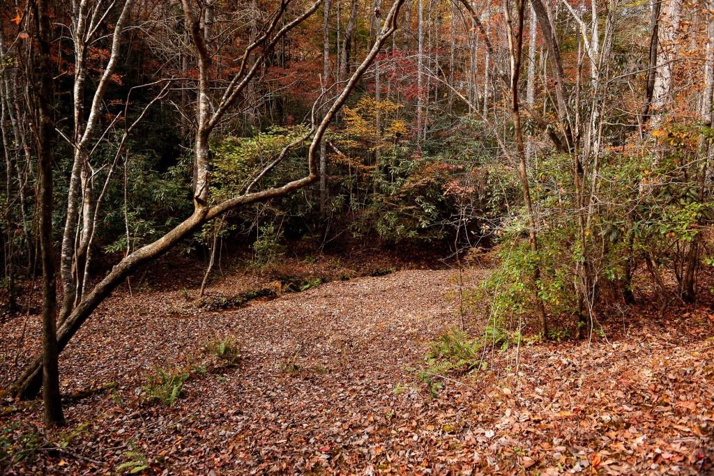 TRACT Ponderosa Drive, Epworth, Georgia image 1