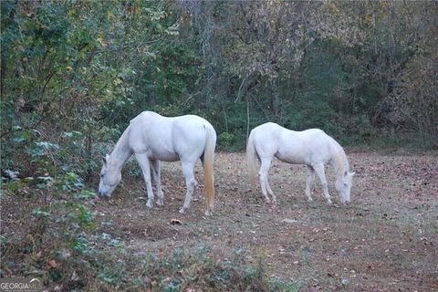 4271 Panthersville Road Ellenwood GA 30294