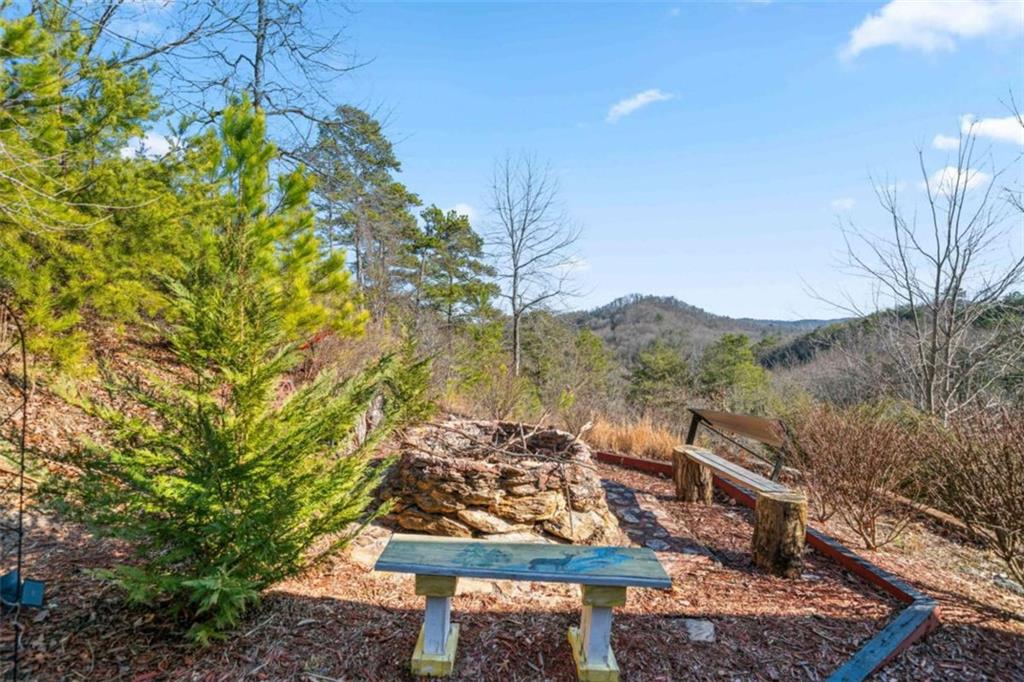 687 Anderson Lane, Ranger, Georgia image 31