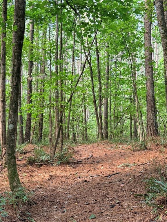 Lot 21 Skidder Way