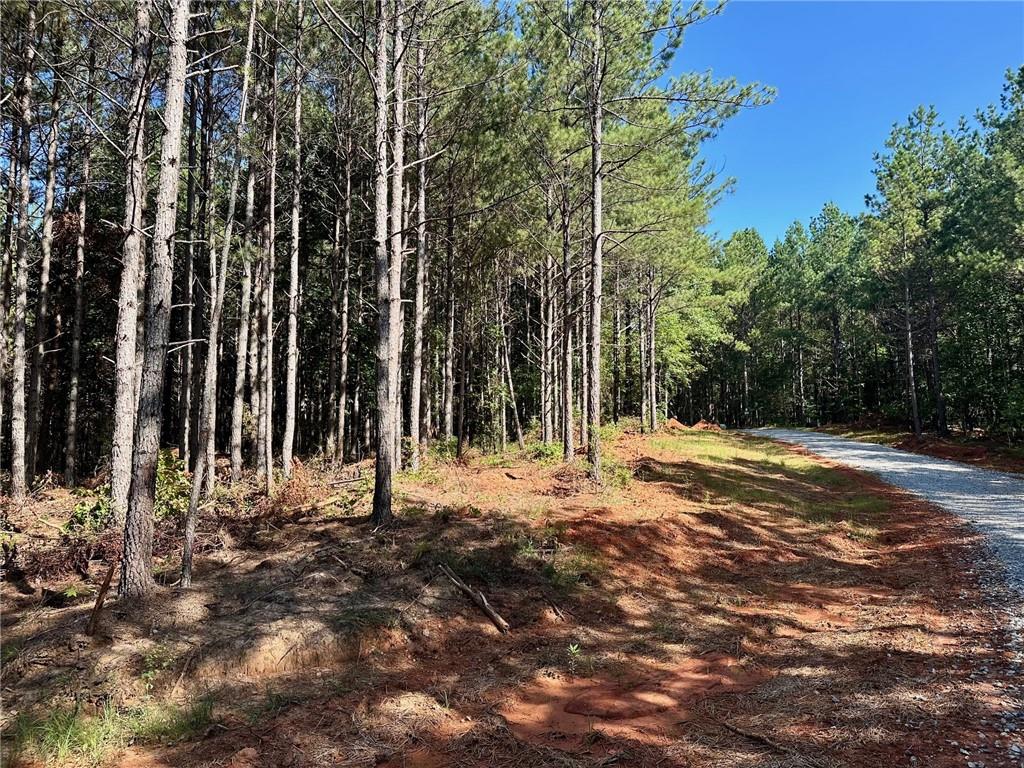 NO HOA! New Beautiful Ranchette Opportunity. Privacy abounds! Perfectly shaped, gentle, level, 5.1-/+ ac. Slab or basement friendly. Multiple options for driveway or building spots. Ample road frontage and depth. Power and Fiber available at tract. Level drive in, just off the paved county road. In an area of similar styled & sized land. Space! Dark night skies, minutes to National Forest or Dahlonega. Not far from everything North Georgia! Bring your toys, bring your dreams! New road, address will not map. Easy appointment, not a drive-by location. Property is suitable for a family compound. No restrictions on short term rentals. Broker/Owner. Additional acreage available. Owner financing available. Home & land trades considered also. This is not Patriot Trail or Freedom trail.