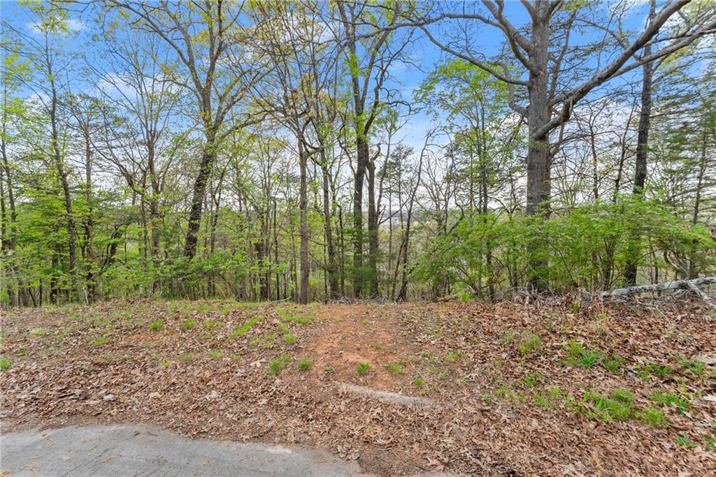2517 Thompson Overlook