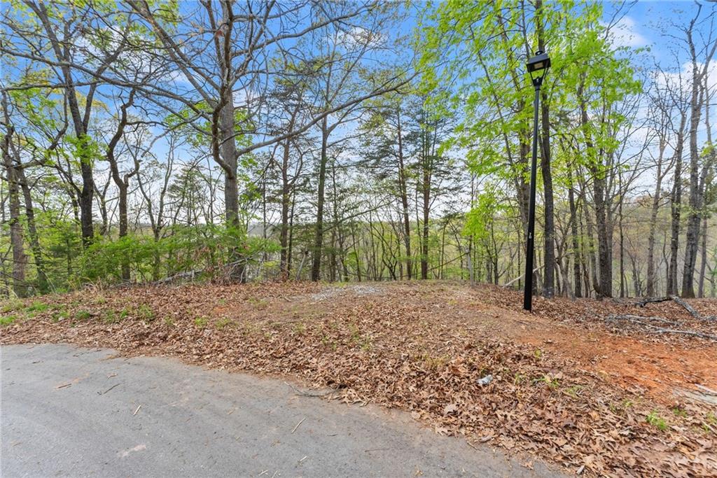 2517 Thompson Overlook