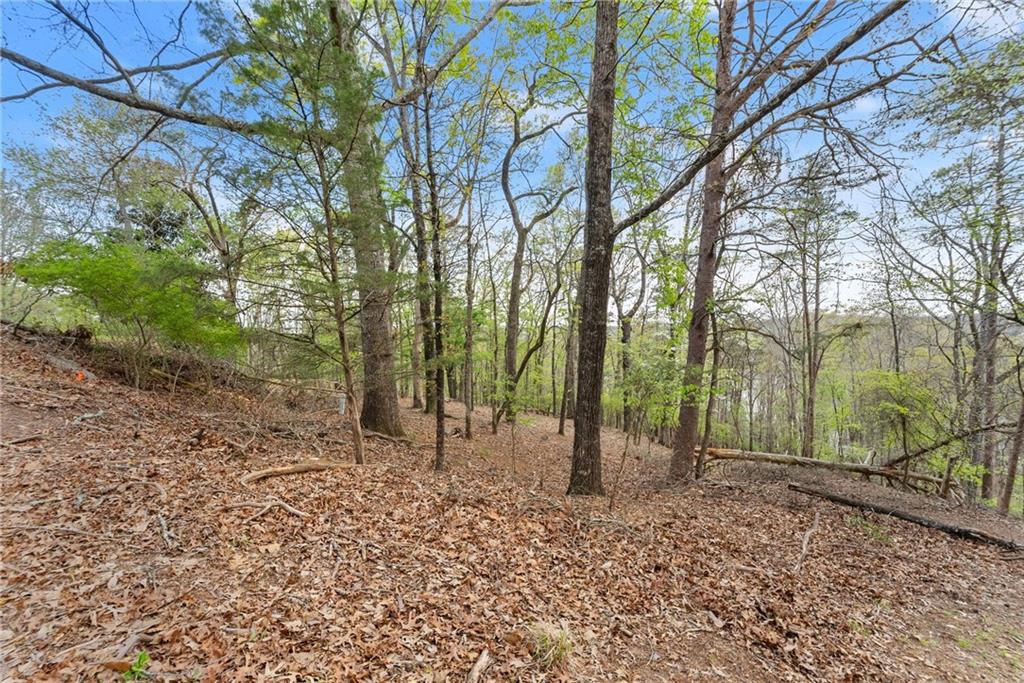 2517 Thompson Overlook