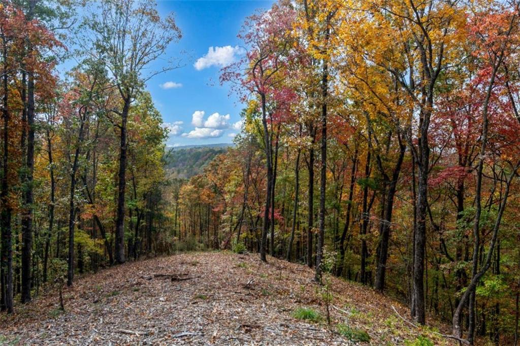 LT 269 Canoe Way, Talking Rock, Georgia image 19