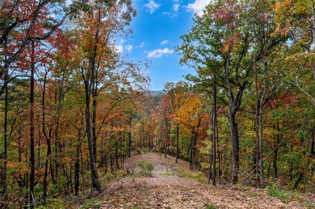 LT 269 Canoe Way, Talking Rock, Georgia image 17