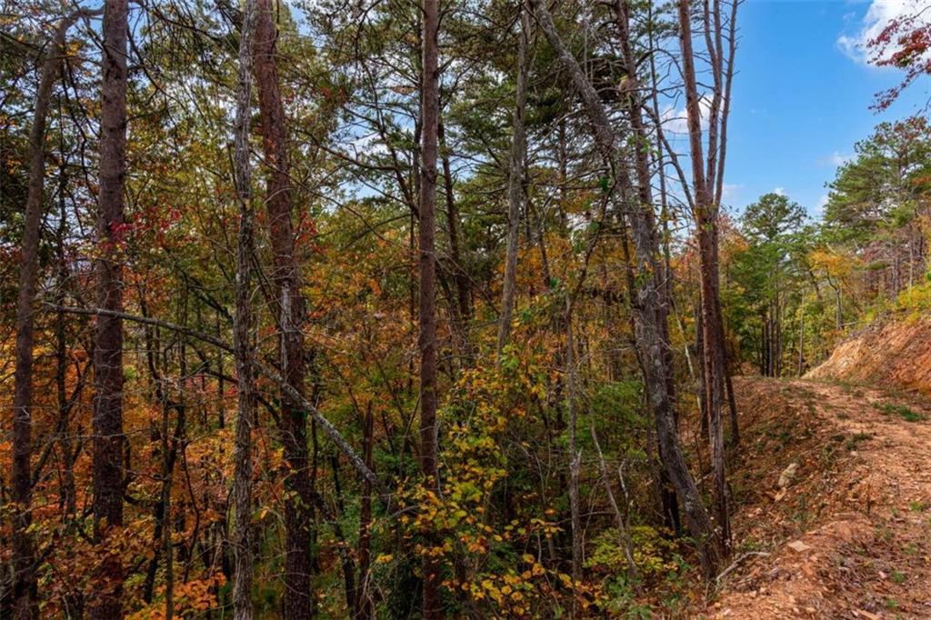 LT 269 Canoe Way, Talking Rock, Georgia image 14