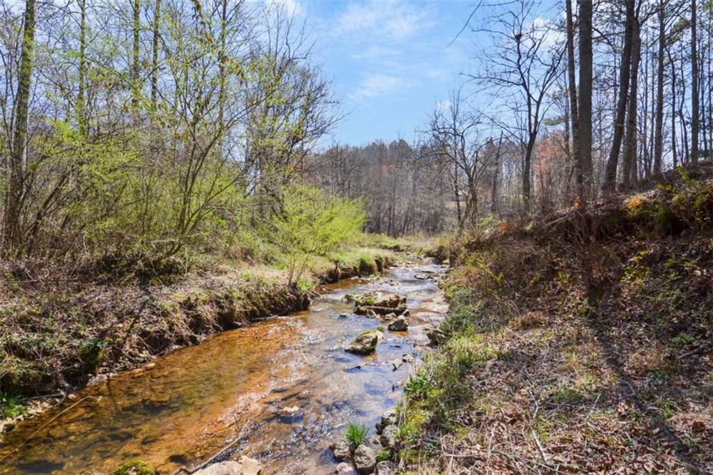 LT 269 Canoe Way, Talking Rock, Georgia image 34