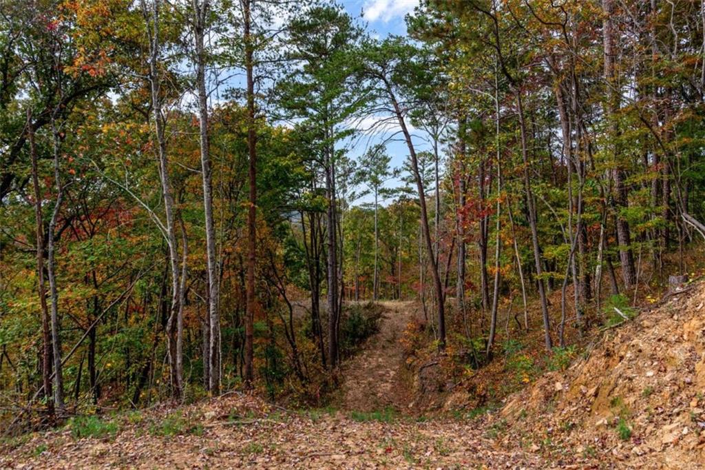 LT 269 Canoe Way, Talking Rock, Georgia image 18