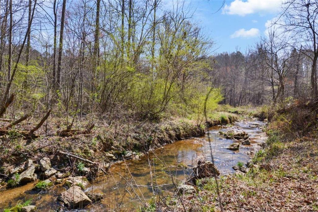 LT 269 Canoe Way, Talking Rock, Georgia image 33