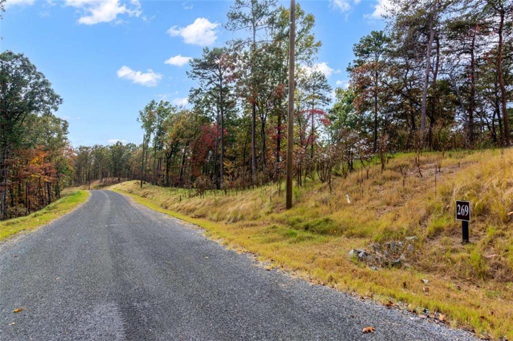 LT 269 Canoe Way, Talking Rock, Georgia image 10