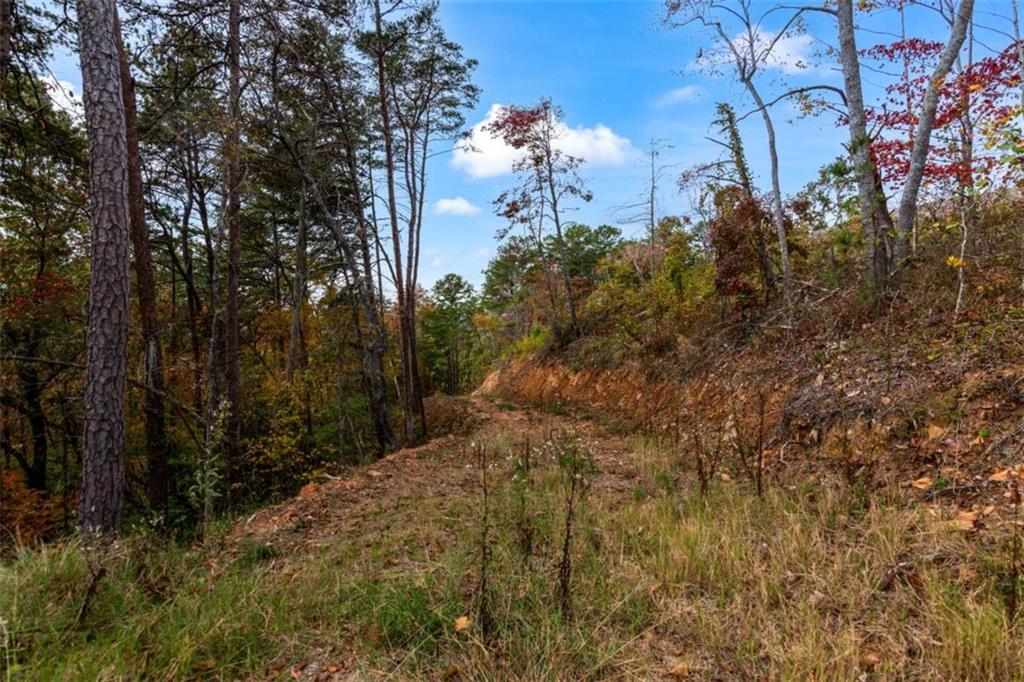 LT 269 Canoe Way, Talking Rock, Georgia image 13