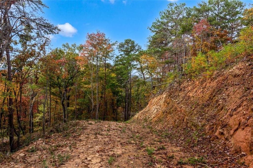 LT 269 Canoe Way, Talking Rock, Georgia image 15