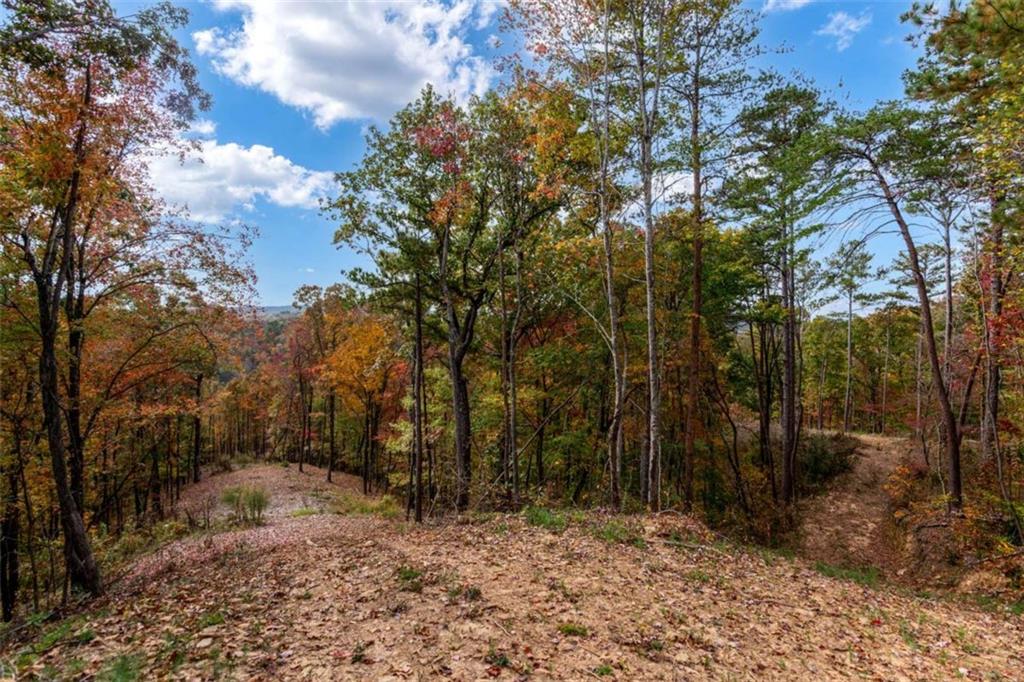 LT 269 Canoe Way, Talking Rock, Georgia image 16