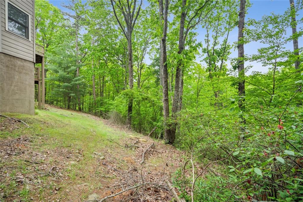 201 Wilderness Knoll, Big Canoe, Georgia image 24