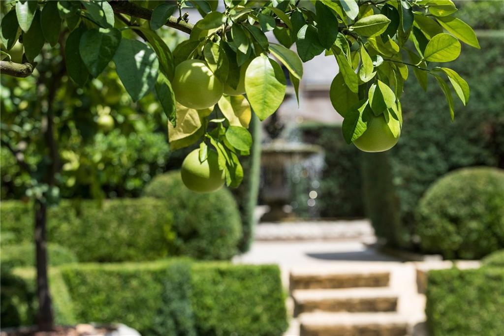 Buckhead - Residential