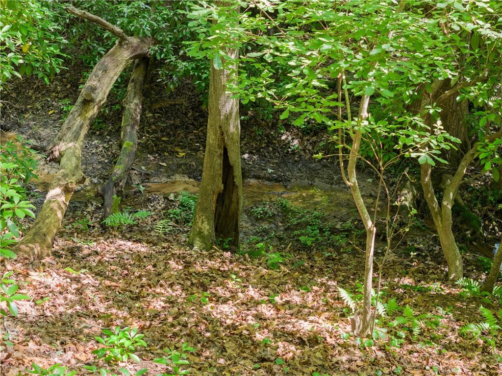 Oakview Hills - Residential