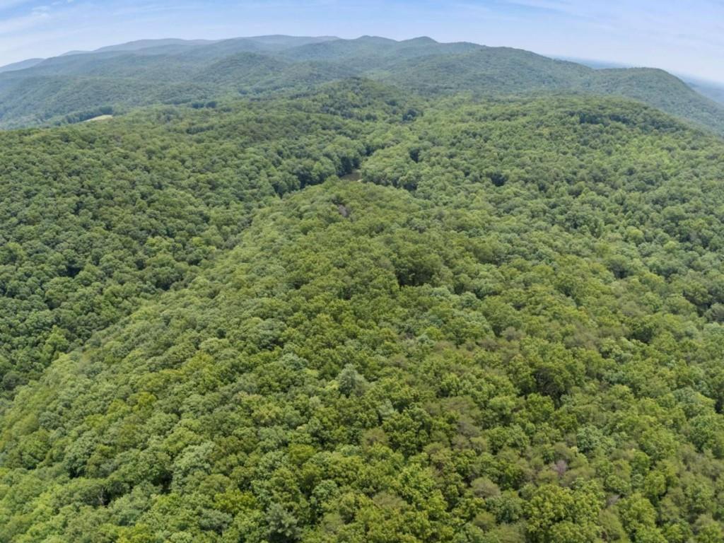 57.64 AC Mountain Ash Road