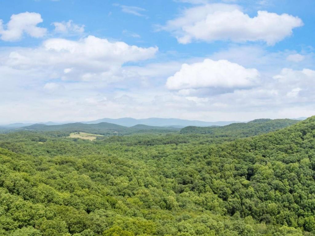 57.64 AC Mountain Ash Road