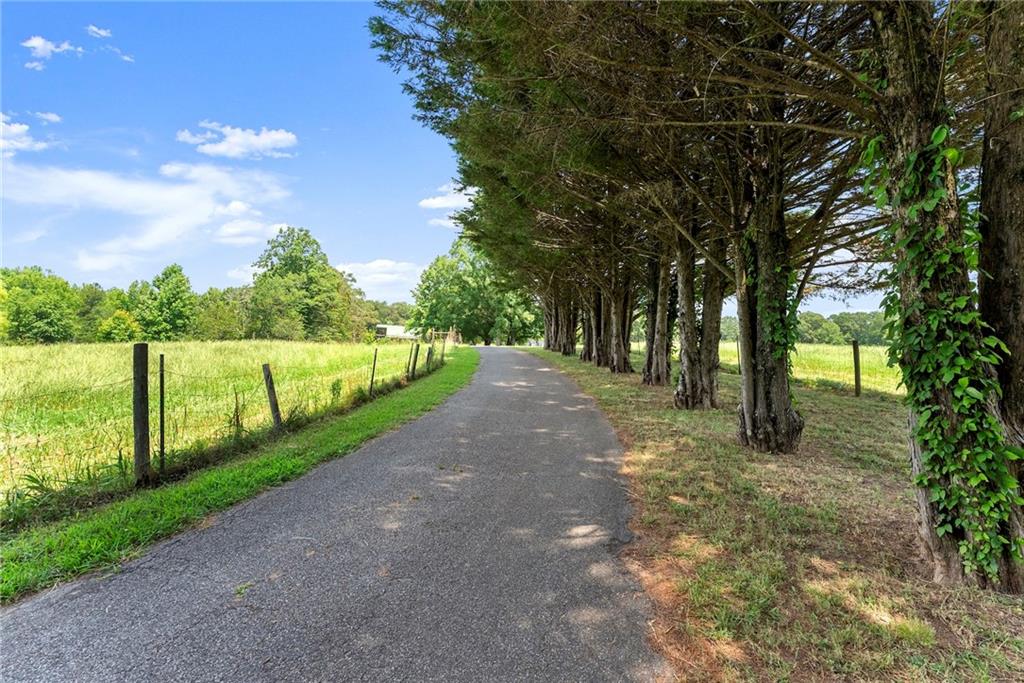 442 Dollar Road
