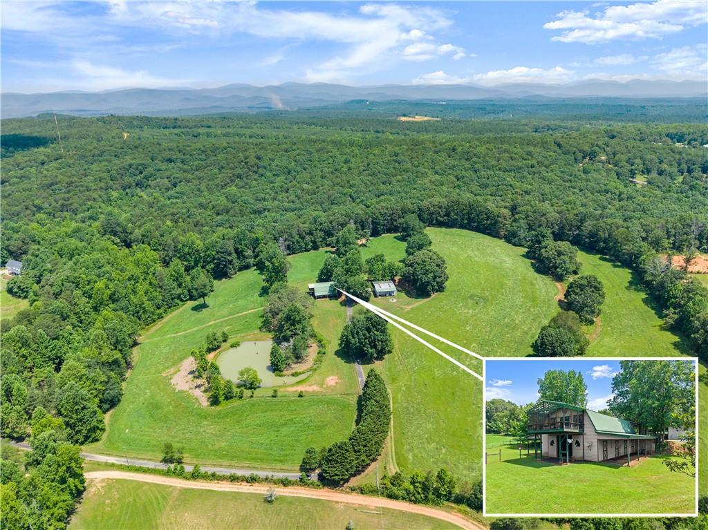 442 Dollar Road