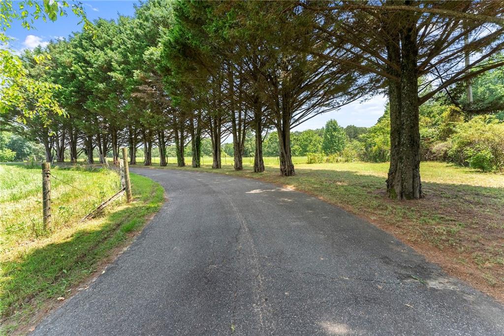 442 Dollar Road