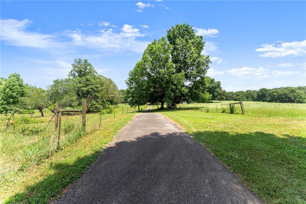 442 Dollar Road