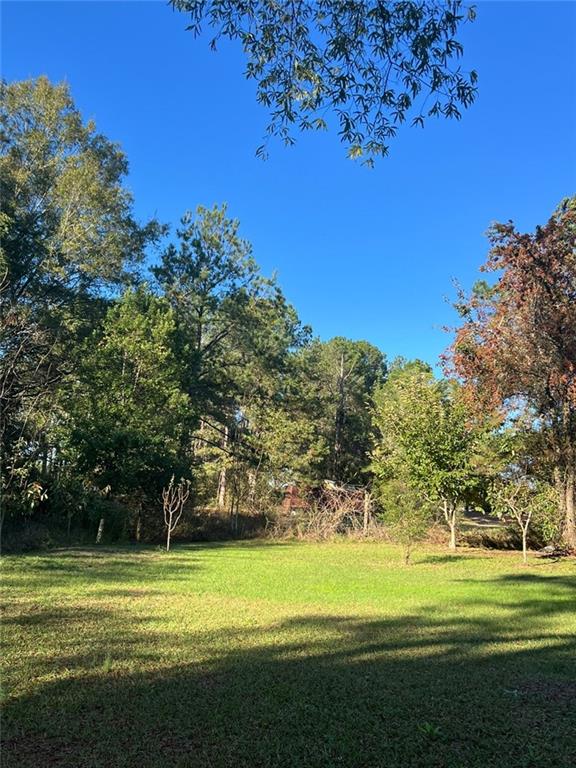 94 Cedar Valley Road, Montezuma, Georgia image 9