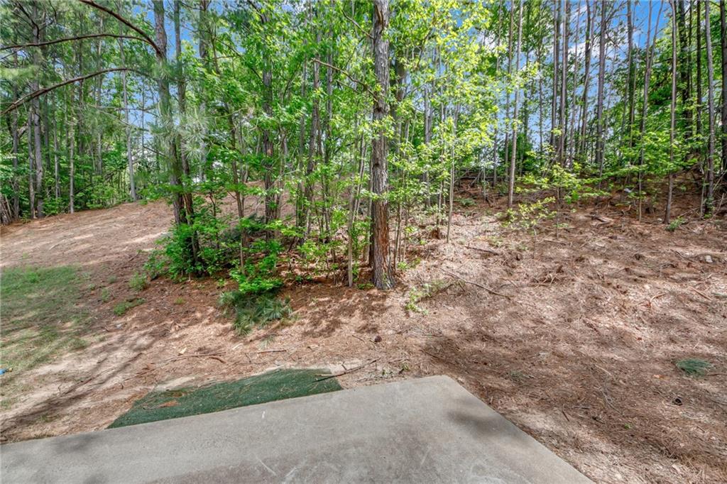2640 Thunder Basin Way, Douglasville, Georgia image 29