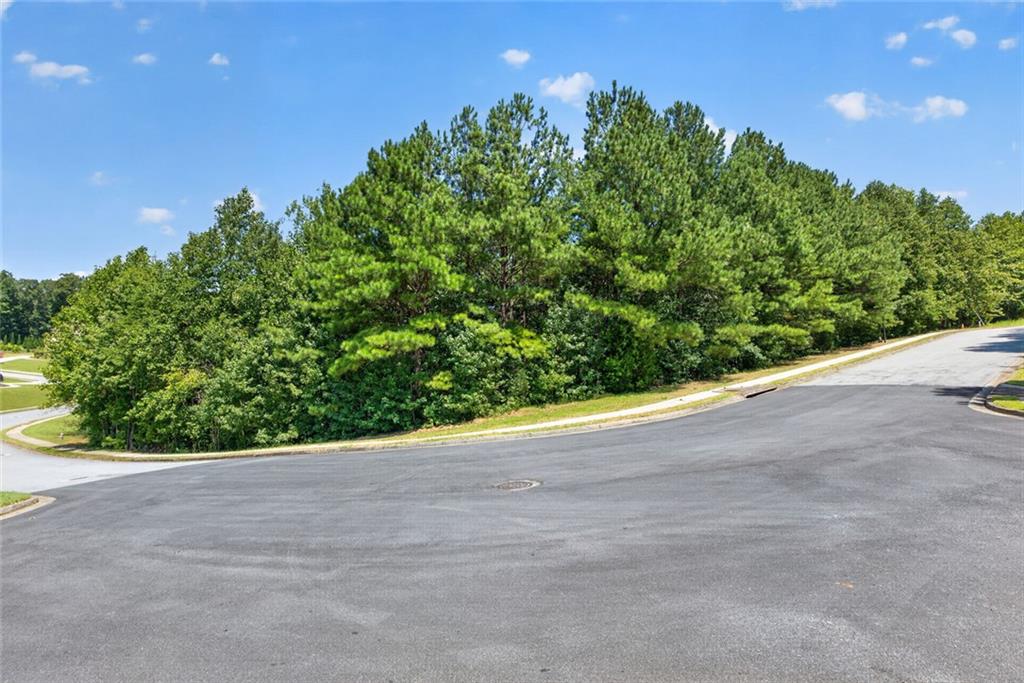 1179 Wood Trace Lane