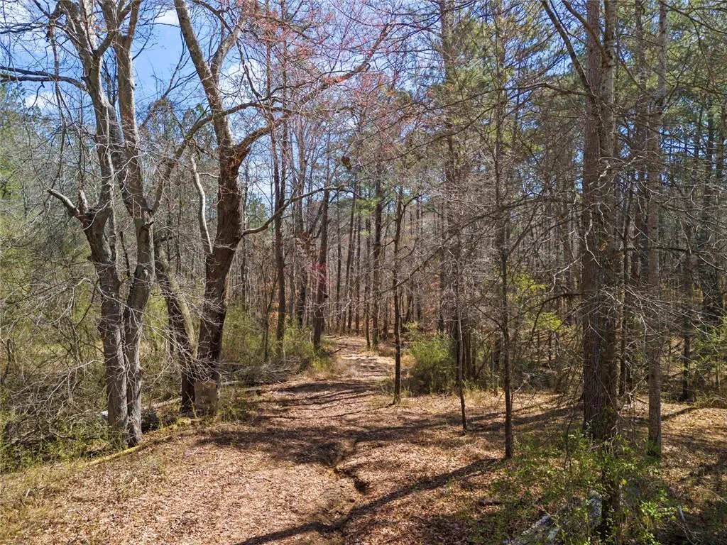 Dallas, Georgia 30157, United States, 4 Bedrooms Bedrooms, ,4 BathroomsBathrooms,Residential,Active,88660