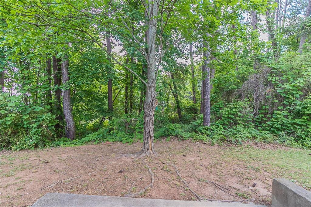2319 Rambling Way, Lithonia, Georgia image 31