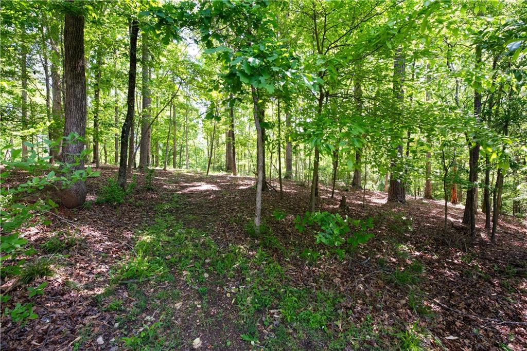 272 Cherokee Ridge, Athens, Georgia image 34