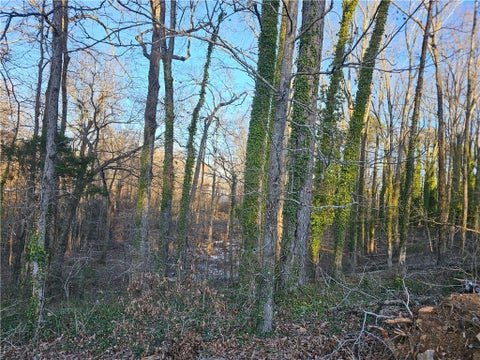 Vacant Land For Sale - 3060 Highway 20<br/> Conyers, GA 30013