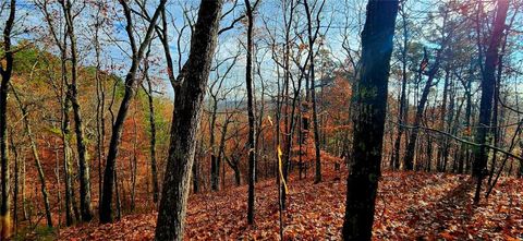 Vacant Land For Sale - 561 Parable Court<br/> Ranger, GA 30734