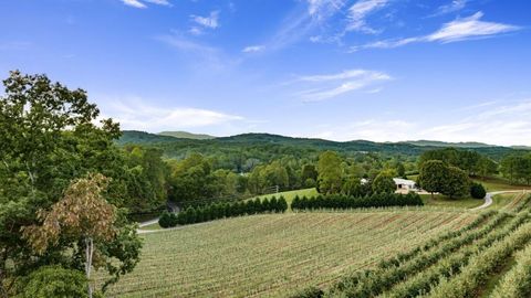 A home in Blue Ridge