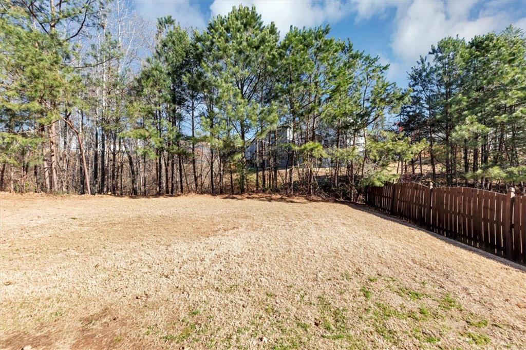 177 Mount Moriah Road, Ball Ground, Georgia image 36