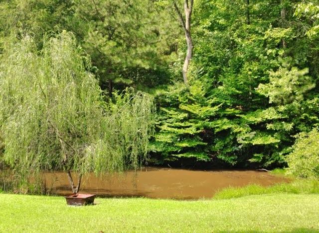 257 Shellhorse Road SE