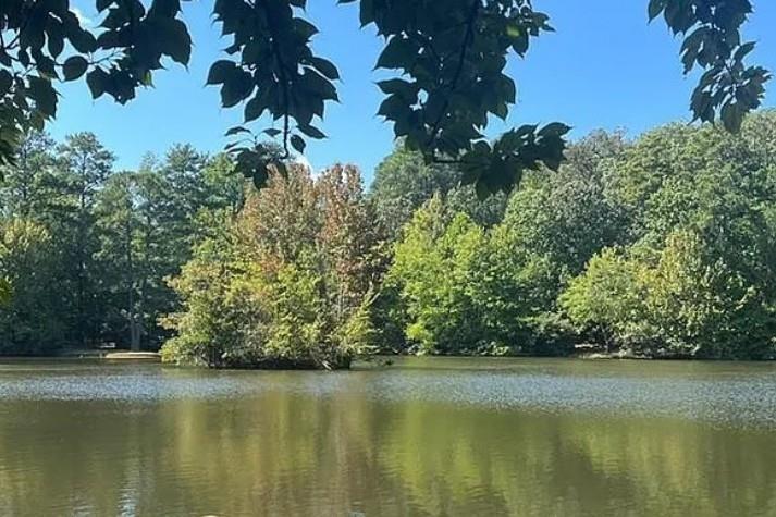 Mountain Brook - Residential