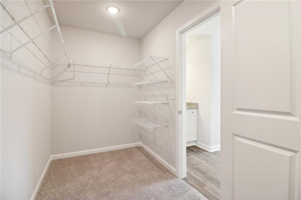 11841 Rizvan Place, Covington, Georgia image 36