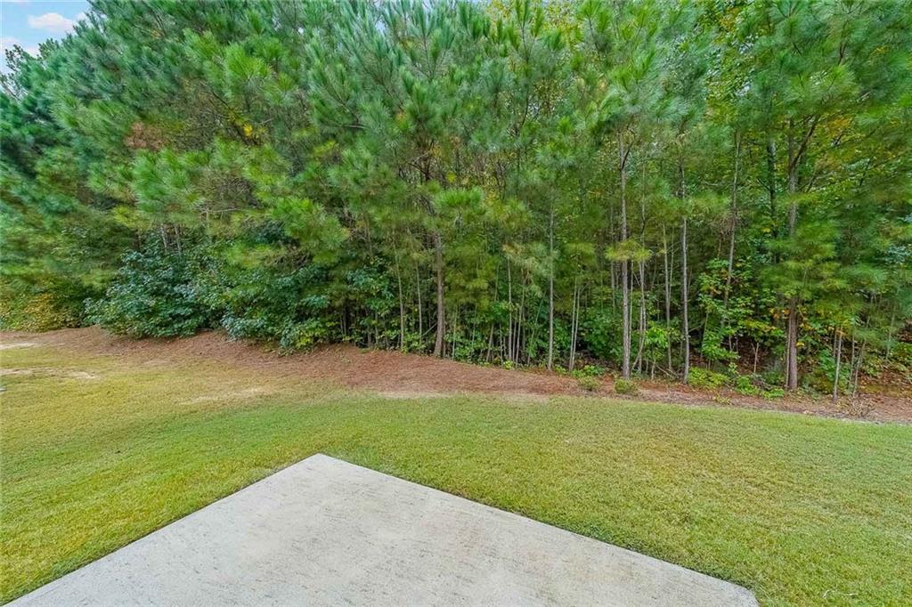 4007 Fellowship Drive, Buford, Georgia image 32